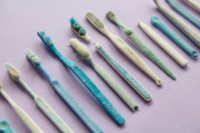 How many disposable toothbrushes get thrown away every year?
