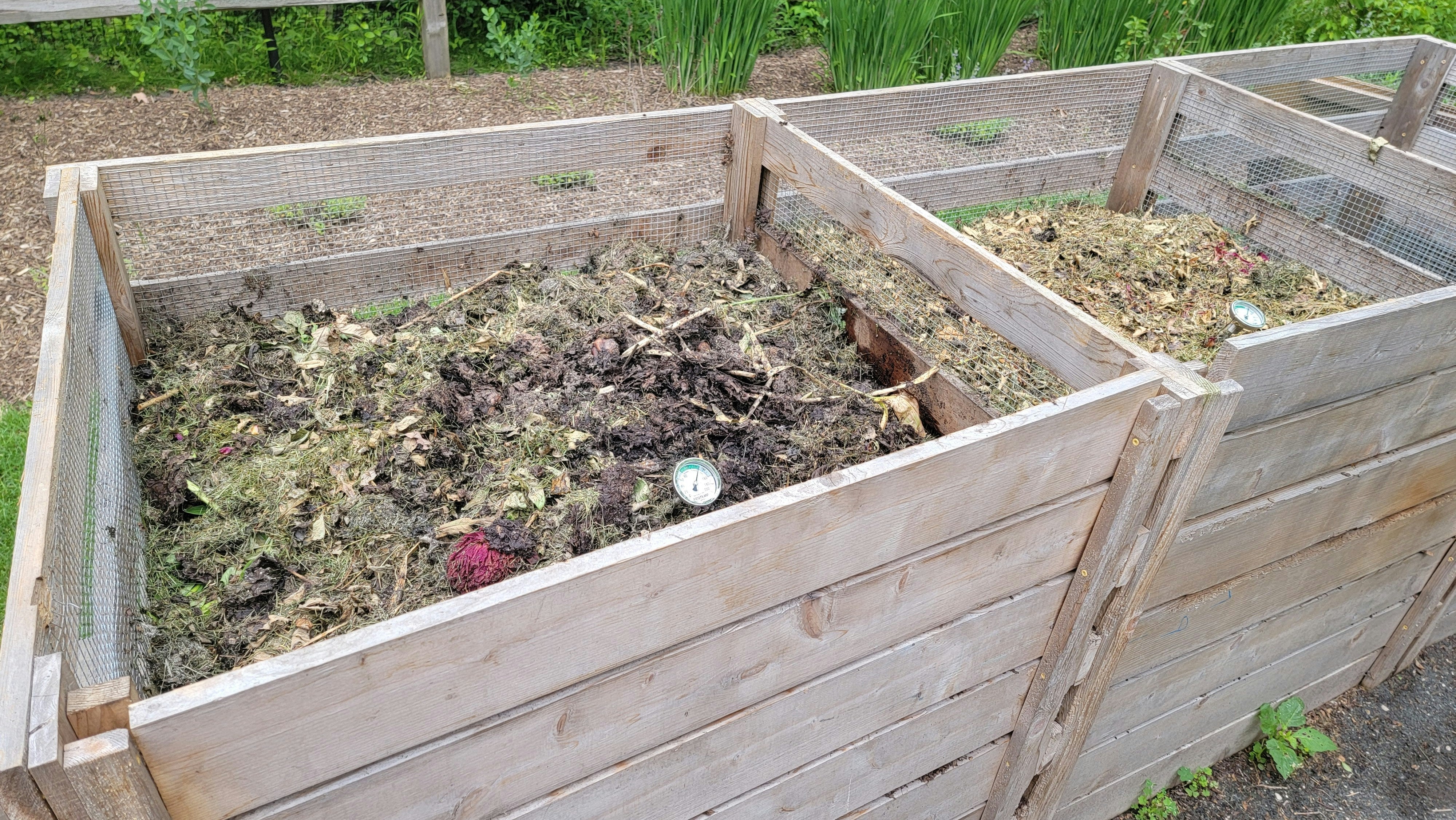Compost heap