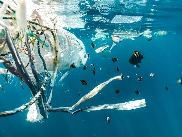 School of fish in the ocean surrounded by plastic waste. 