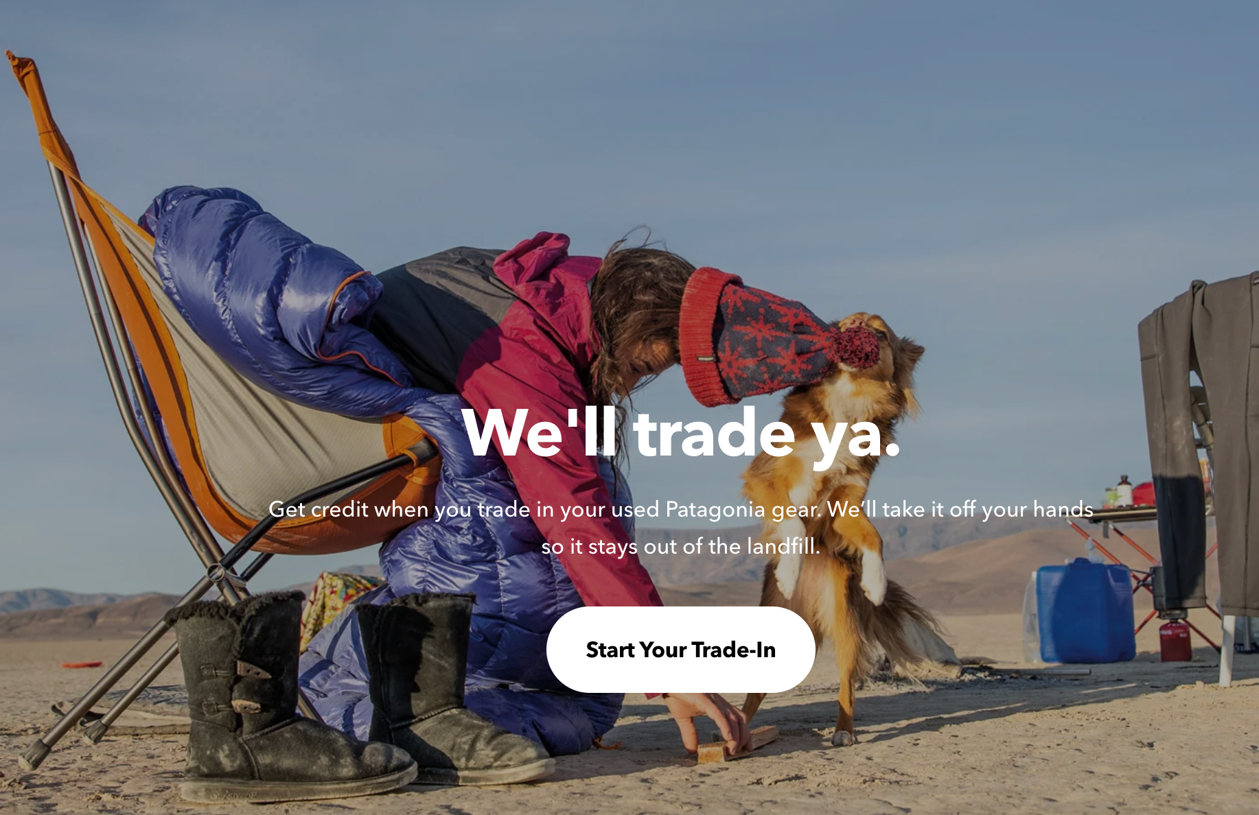 Patagonia Worn Wear website