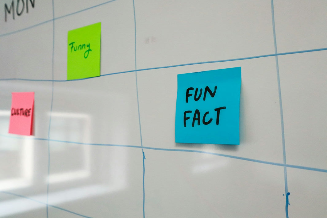 Fun fact written on a sticky note