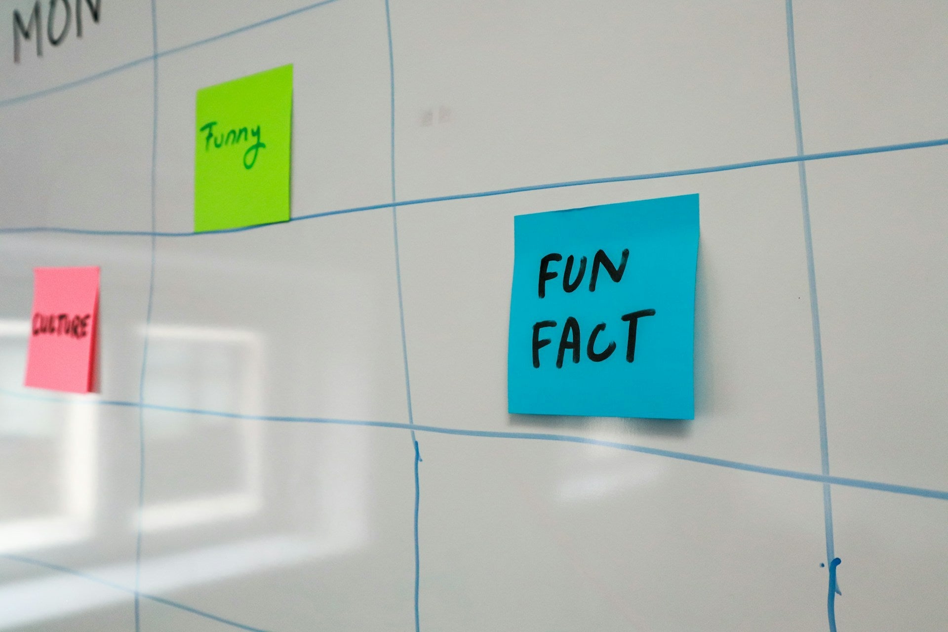 Fun fact written on a sticky note