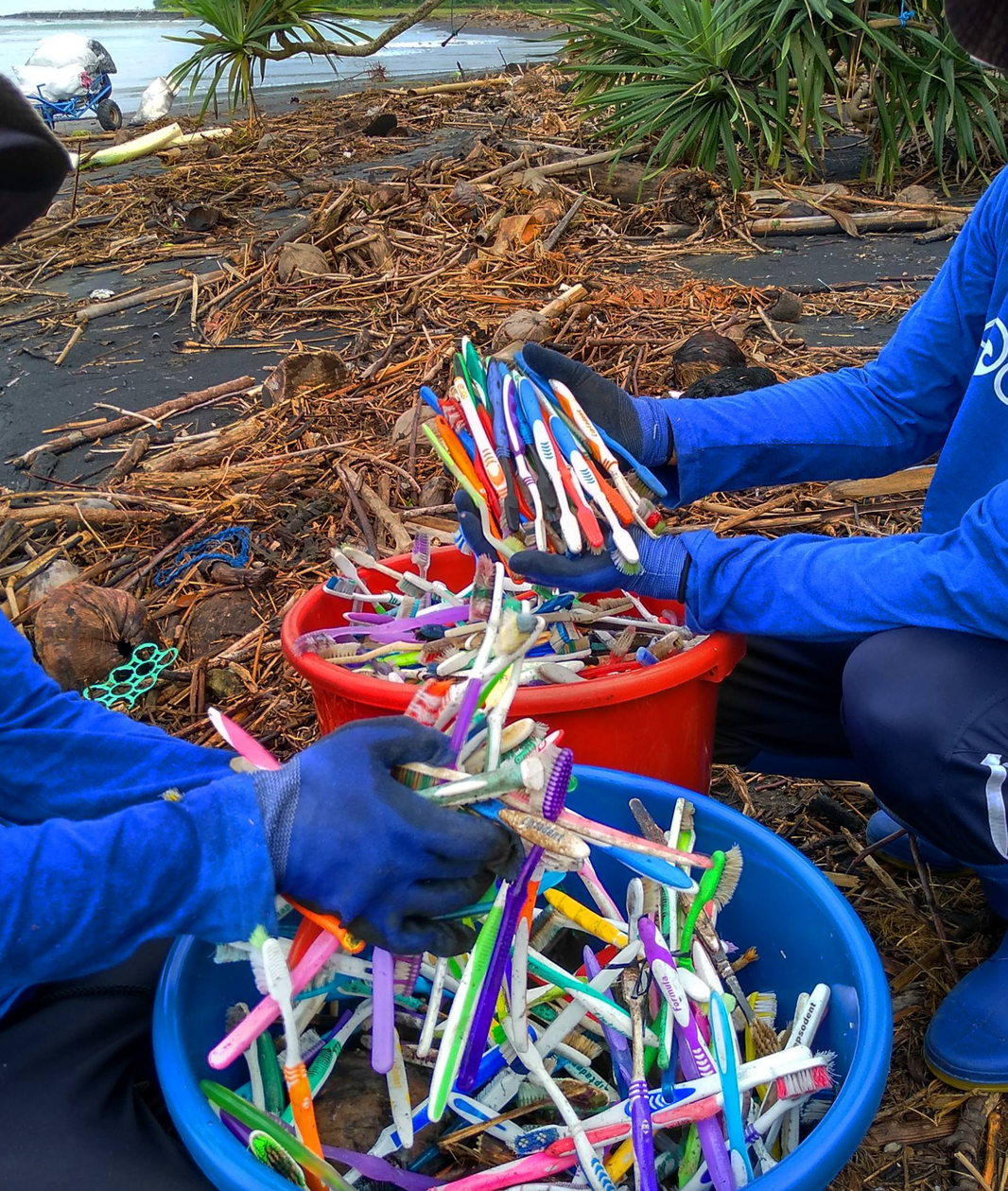 Photo of disposable toothbrushes collected from a beach, courtesy of 4Ocean