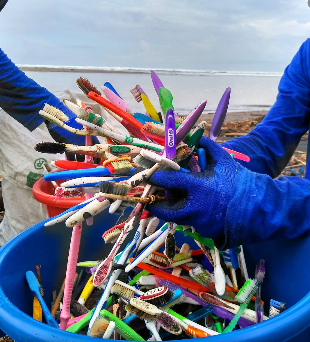 4Ocean photo of disposable toothbrush waste being collected