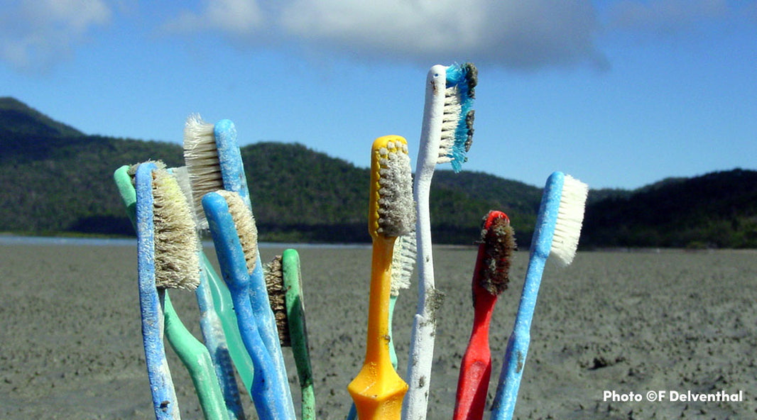 Photo of old toothbrushes on a beach by F Delventhal