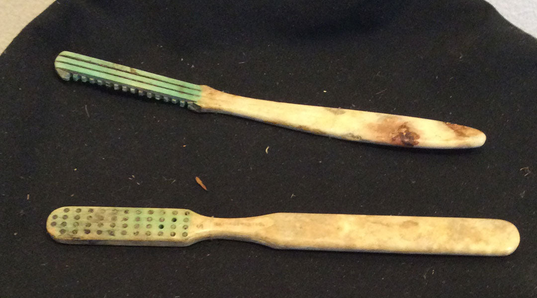 Toothbrush Invented The History of the Toothbrush β an Infographic