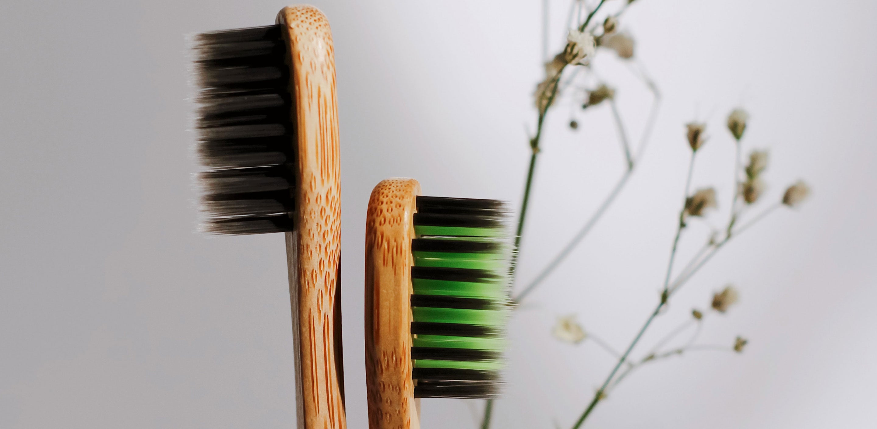 Bamboo toothbrushes with nylon bristles