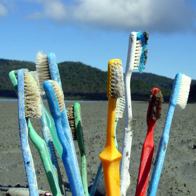 Signs Your Toothbrush is a Red Flag (And How to Upgrade)