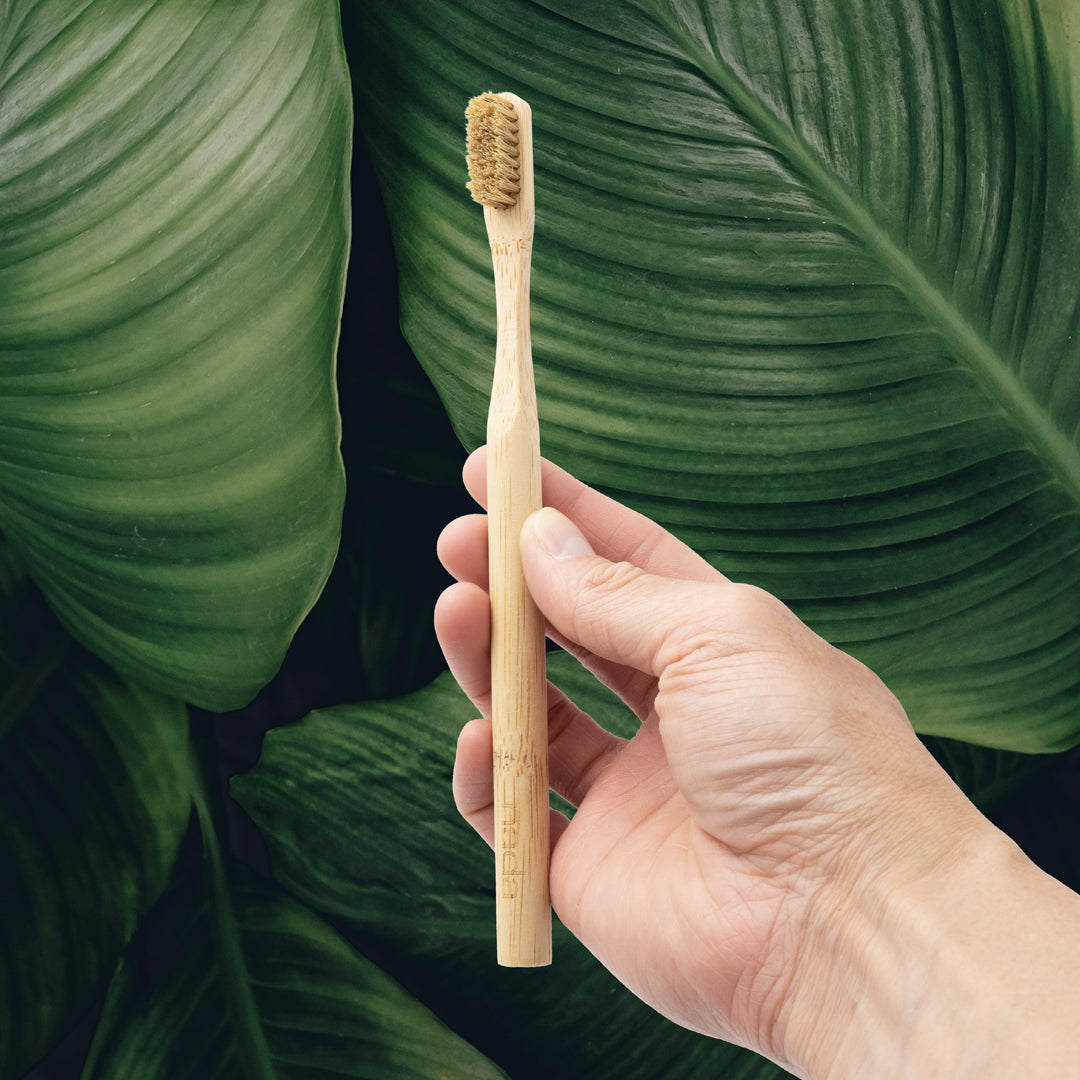 Nada Eco-friendly Moso Bamboo Toothbrush with Boar Bristles