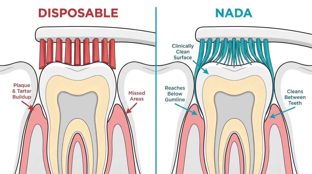 Cross-section comparison: a disposable brush's flat bristles miss the gumline and leave plaque, while Nada's floss-tipped bristles reach below the gumline and clean between the teeth