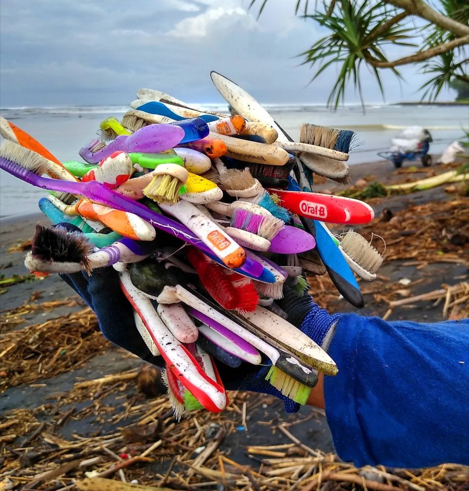 A gloved hand holding a pile of discarded plastic toothbrushes collected from a beach
